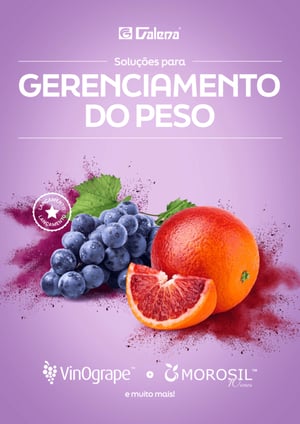 Gerenciamento-peso-1 (1)