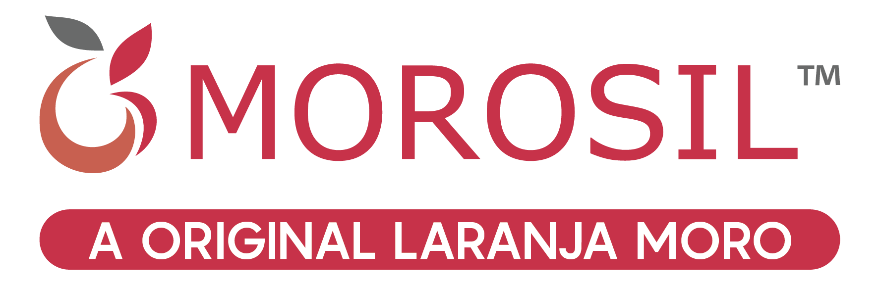 Logo Morosil-1